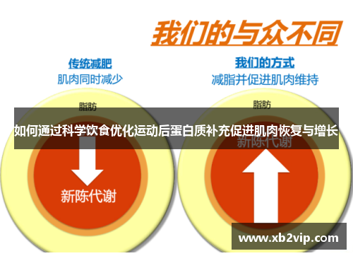 如何通过科学饮食优化运动后蛋白质补充促进肌肉恢复与增长
